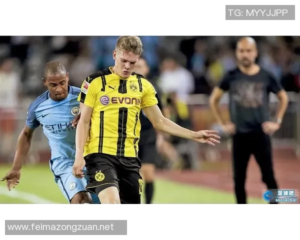 汉堡队与维踢球者的激烈对决揭示足球战术与团队合作的重要性